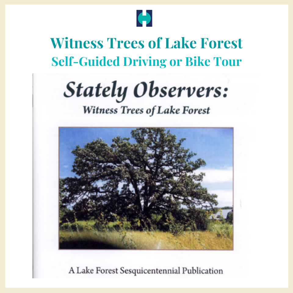 Witness Tree Driving or Biking Tour