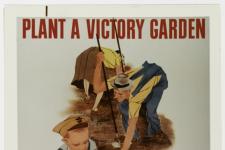 Victory Garden