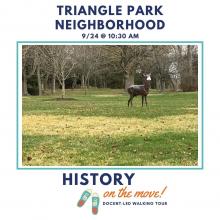 triangle park neighborhood tour