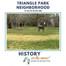 triangle park neighborhood tour