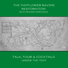 Mayflower Ravine Restoration