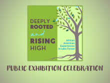 Deeply Rooted