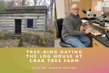 Log Cabin