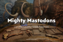 Mastodons